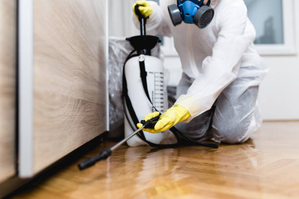 Wildlife Control Services in Fox Lake Hills, IL