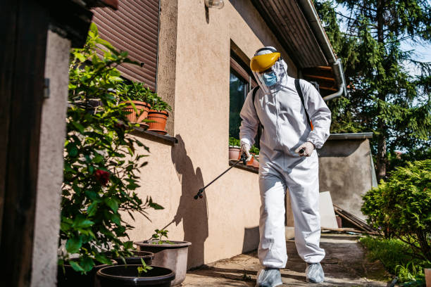 Best Best Pest Control Companies  in Fox Lake Hls, IL