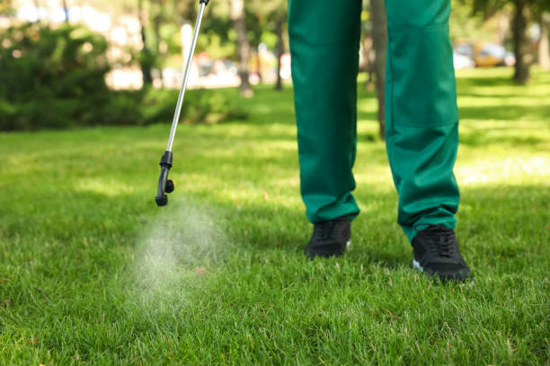 Best Affordable Pest Control Services  in Fox Lake Hls, IL