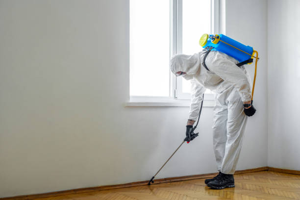 Best Pest Prevention Services  in Fox Lake Hls, IL