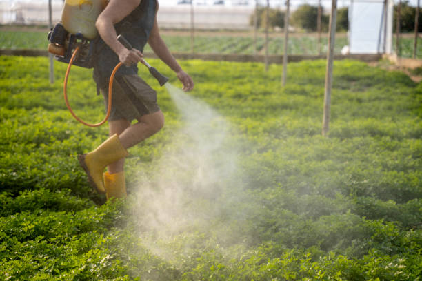 Best Best Pest Control Companies  in Fox Lake Hls, IL