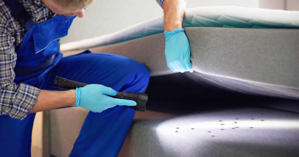 Best Affordable Pest Control Services  in Fox Lake Hls, IL