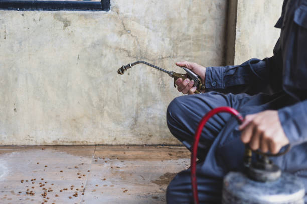 Best Rat Extermination Near Me  in Fox Lake Hls, IL